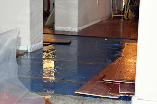 Professional Basement Flood Cleanup technician working in Pima, AZ